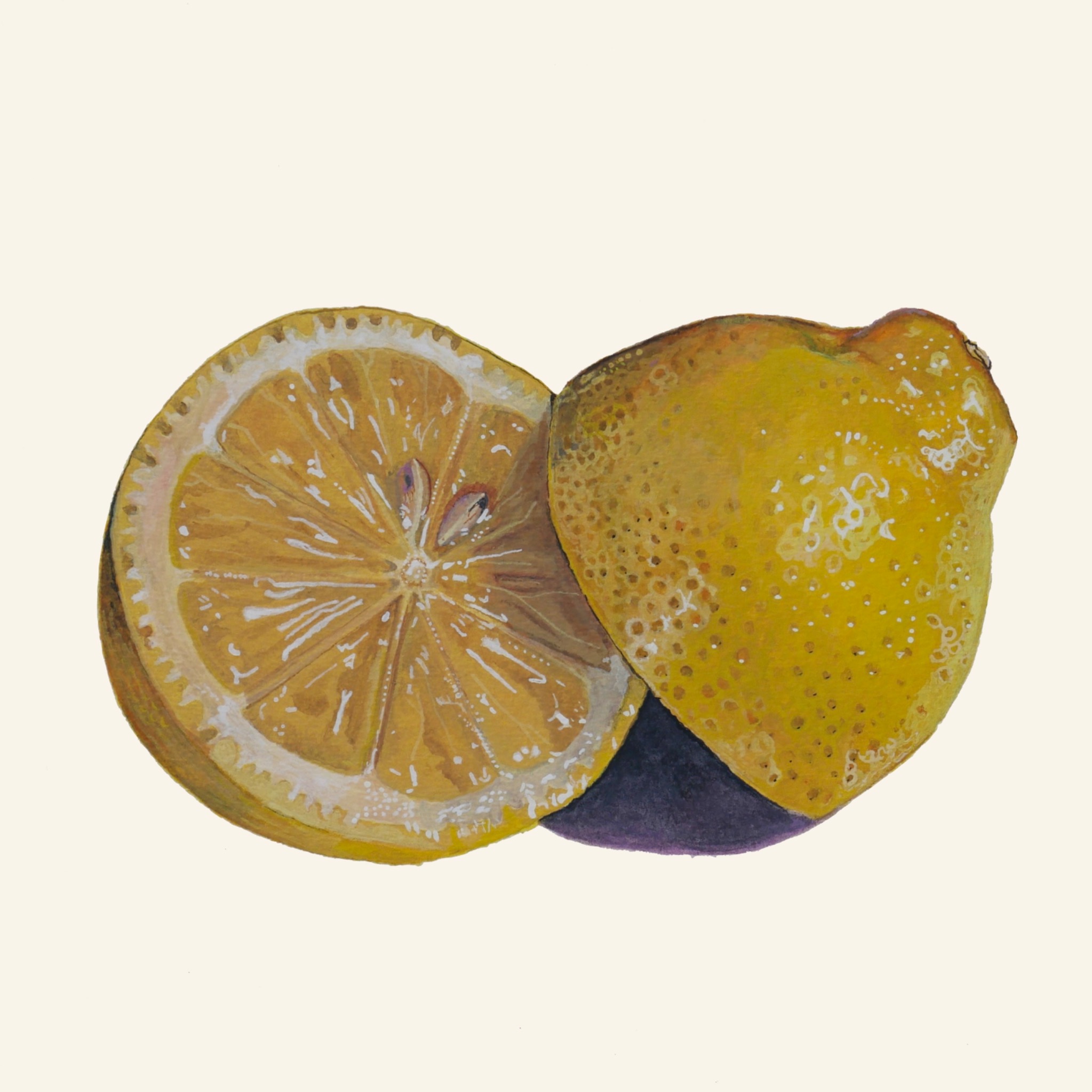 Watercolor painting of lemons by Wesley Ketcher