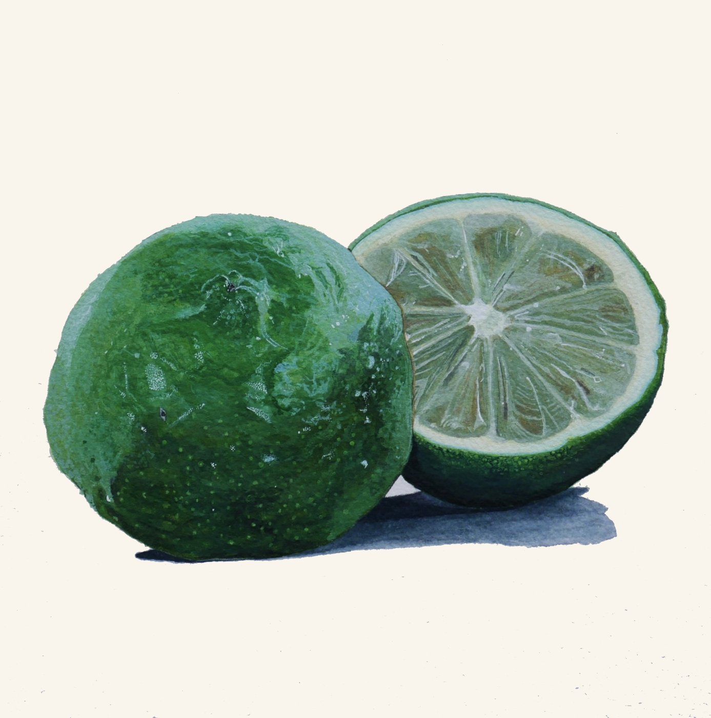 Hyperrealist watercolor painting of a lime by Wesley Ketcher