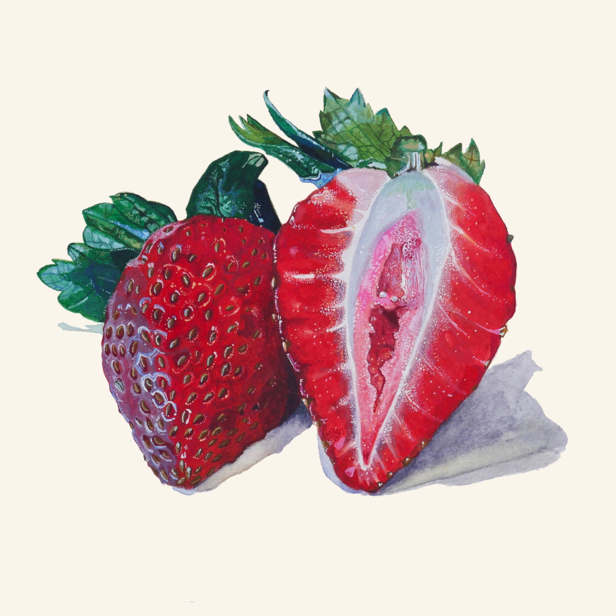 Watercolor painting of strawberries by Wesley Ketcher
