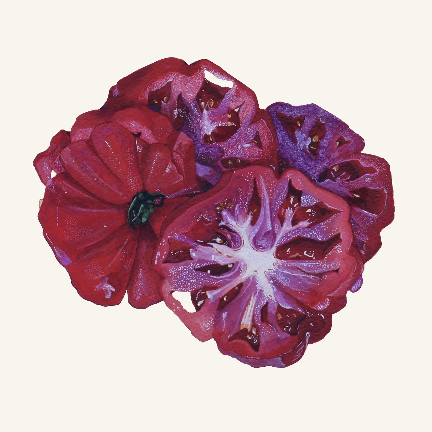 Watercolor painting of heirloom tomatoes by Wesley Ketcher